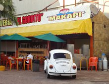 Käfer in Cancun_rs