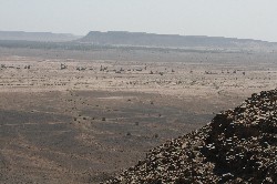 Landschaft wie Tansania