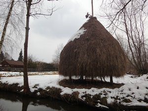 spreewaldDSC06334_rs